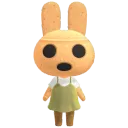 Coco — Normal rabbit