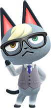 Raymond — Smug cat